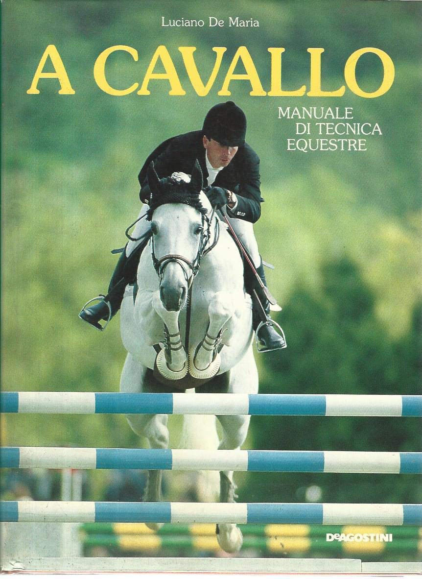 A cavallo. Manuale di tecnica equestre book
