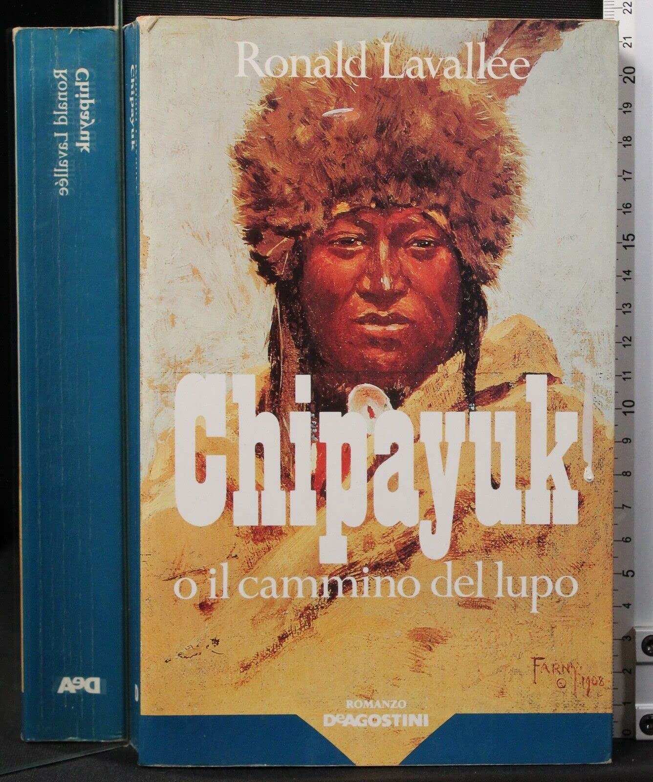 Chipayuk o il cammino del lupo Contemporary literature