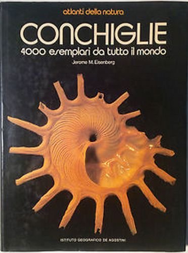 Conchiglie: 4000 esemplari da tutto il mondo. Ediz. illustrata book