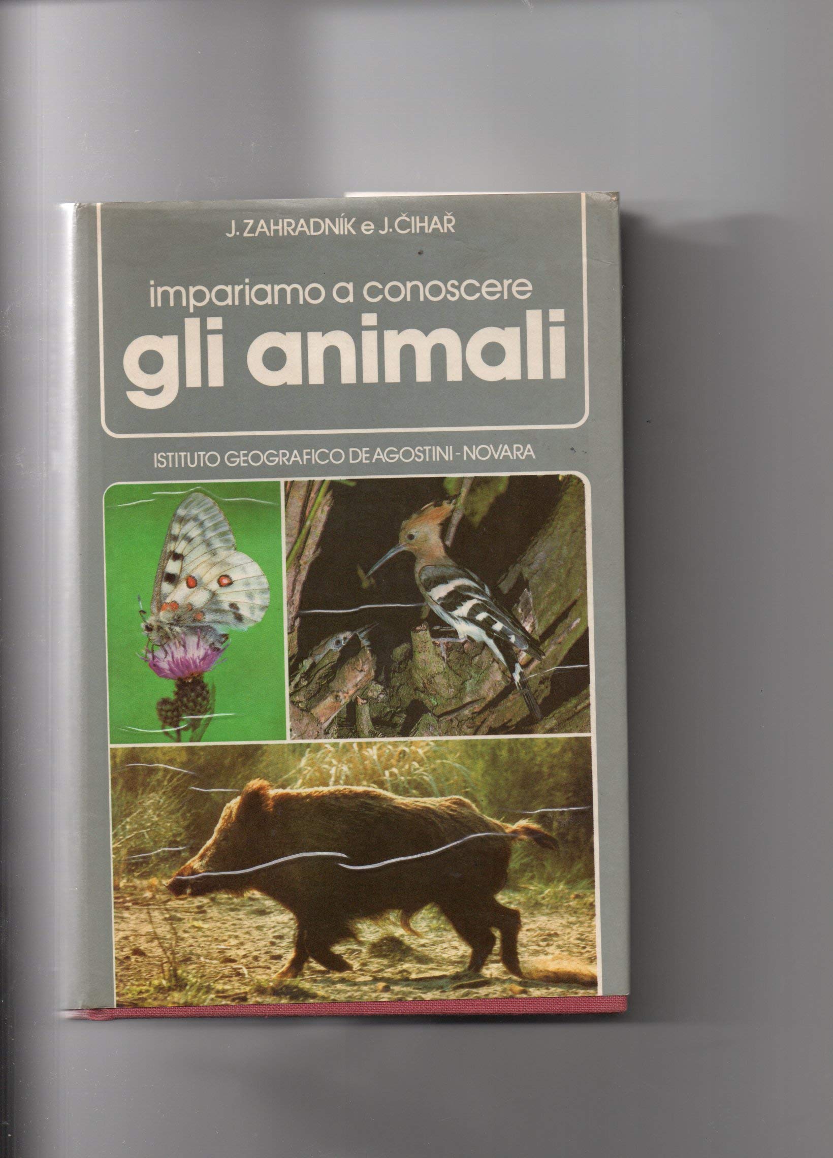 Impariamo a conoscere gli animali book