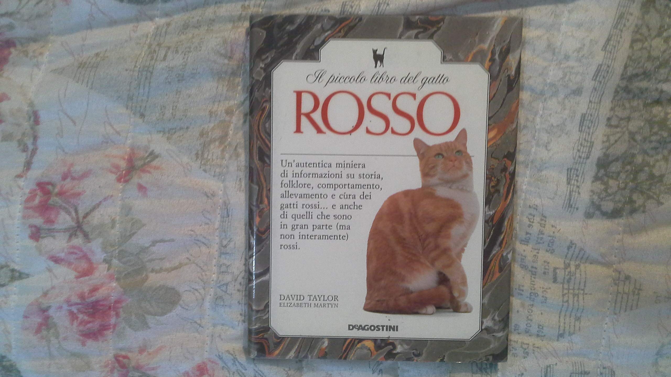 Il piccolo libro del gatto rosso (Conoscere gli animali) Children's books
