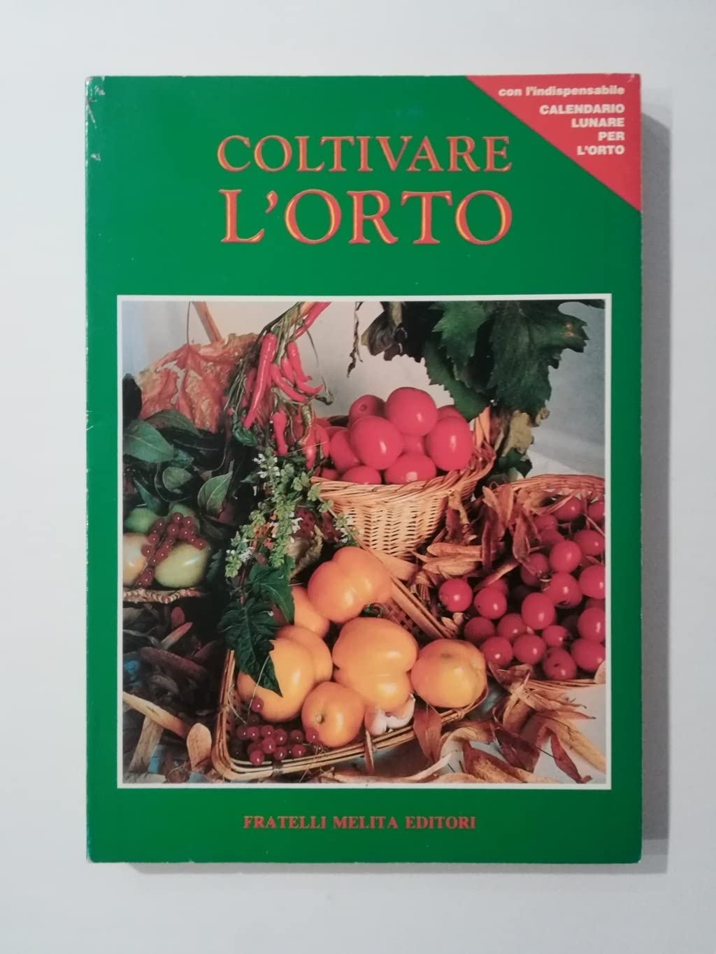 Coltivare l'orto (Manuali pratici) Books