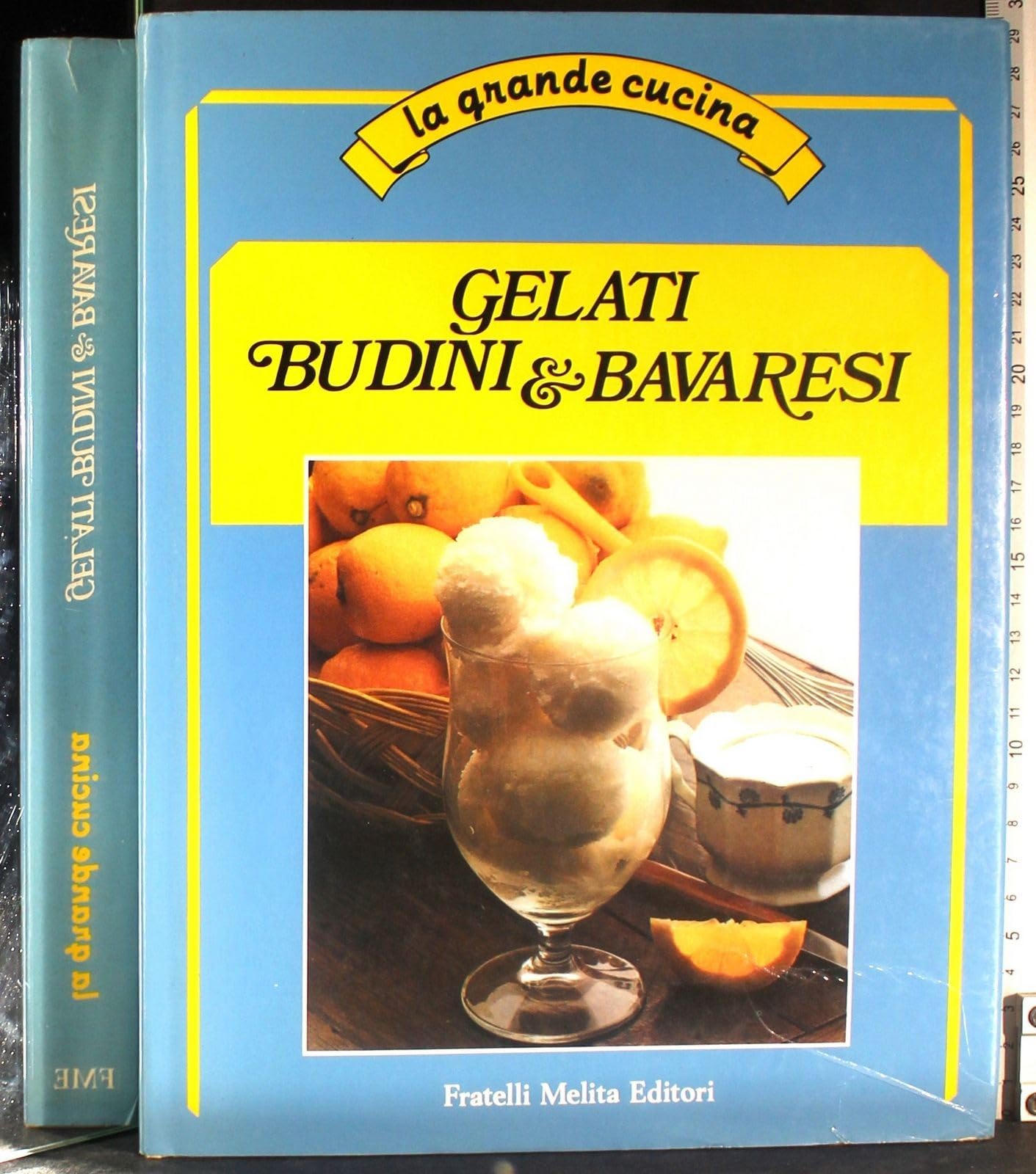 Gelati e Budini Bavaresi. book