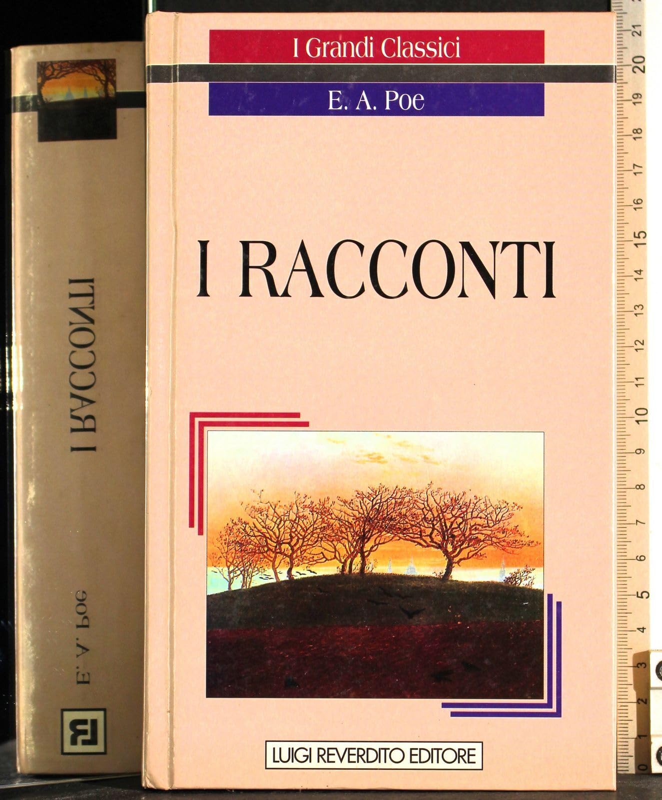 Tutti i racconti book