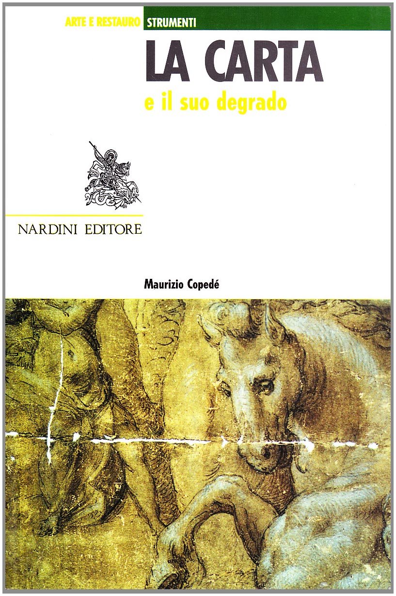 La carta e il suo degrado book