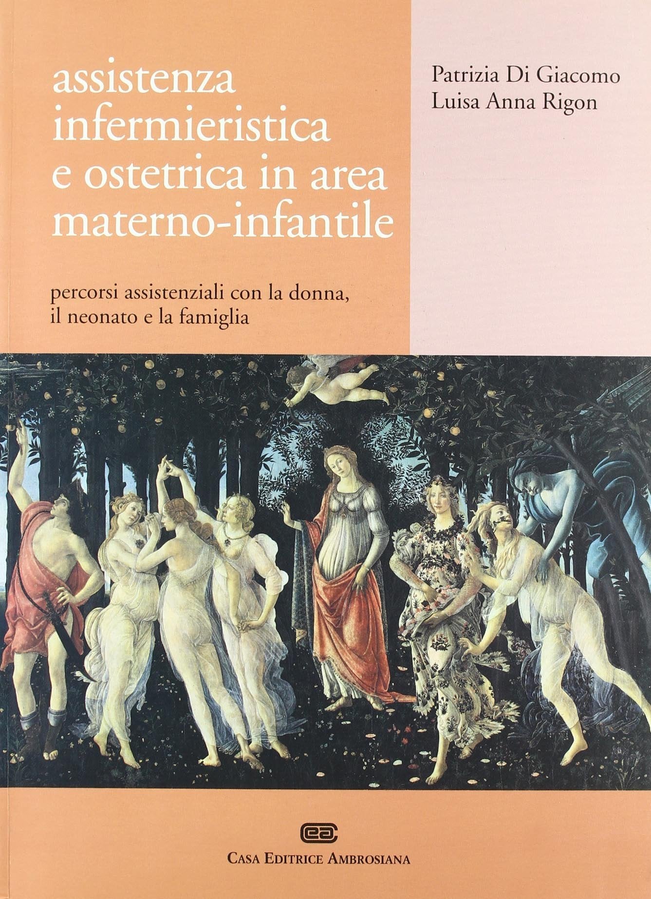 Assistenza infermieristica e ostetrica in area materno-infantile. Percorsi assistenziali con la donna, il neonato e la famiglia book