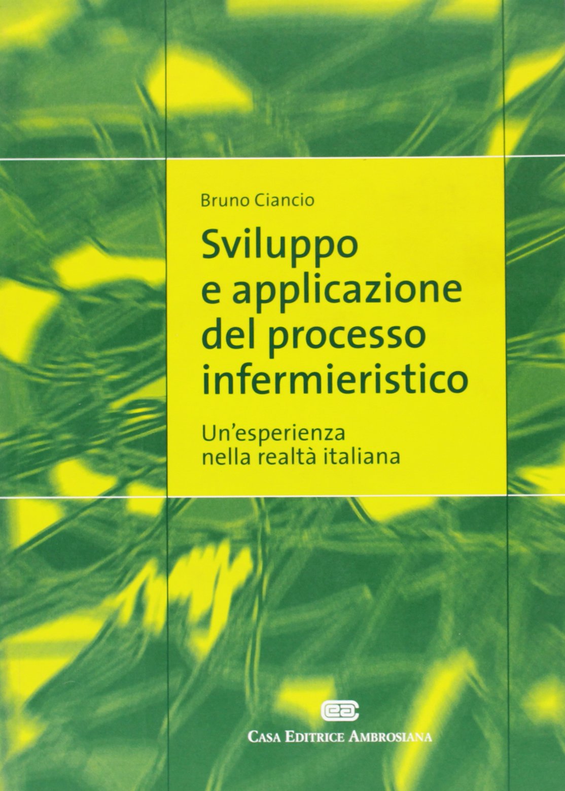 Sviluppo e applicazione del processo infermieristico. Un'esperienza nella realtà italiana book