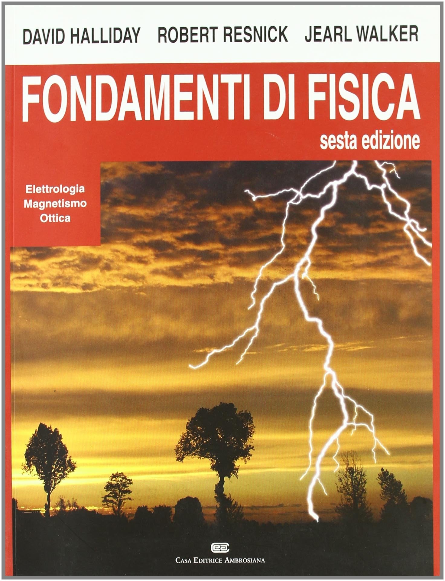 Fondamenti di fisica. Elettrologia, magnetismo e ottica Natural Sciences