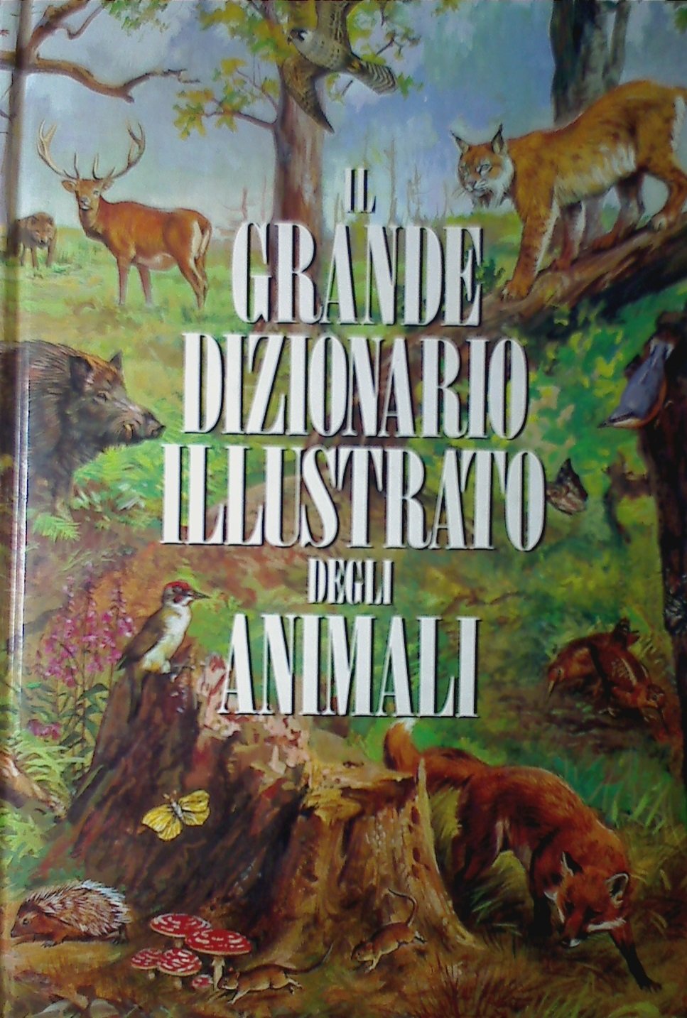 Il grande dizionario illustrato degli animali book