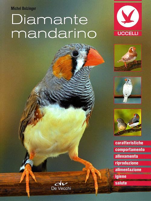 Diamante mandarino book