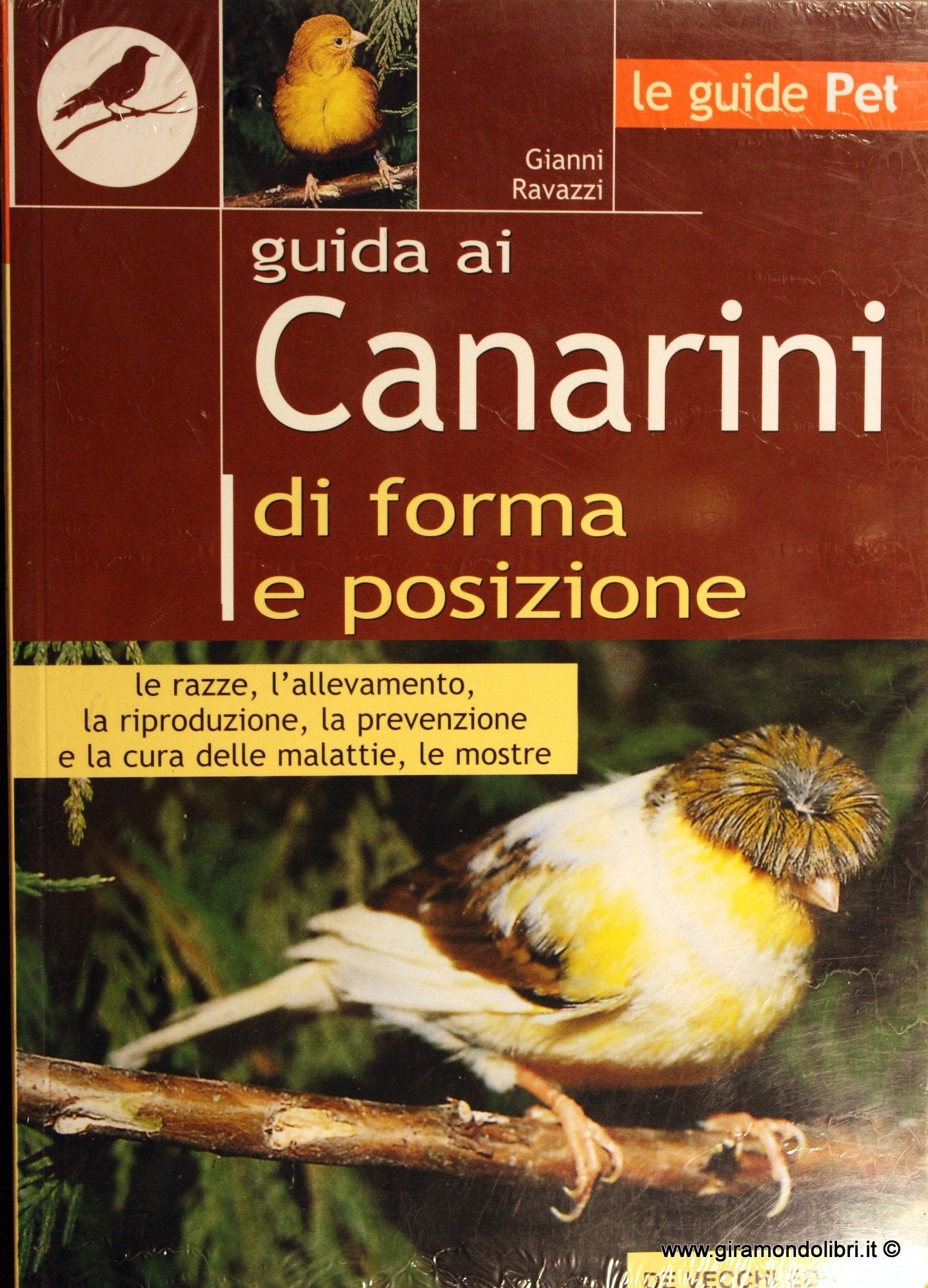 Guida ai canarini di forma e posizione book