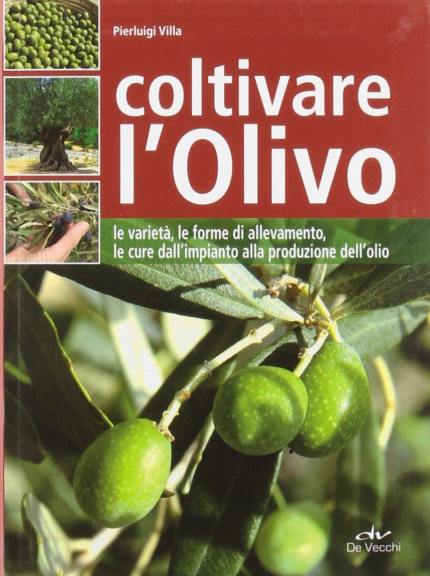Coltivare l'olivo. Dall'impianto alla produzione dell'olio (Guide del buon raccolto) Garden & Plants
