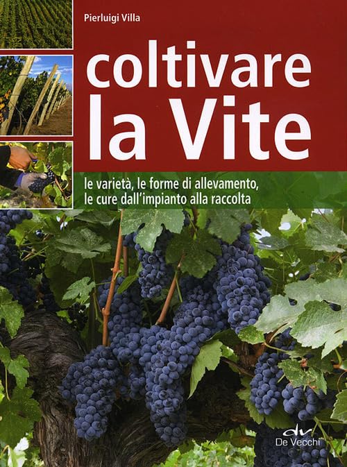 Coltivare la vite. Le varietà, le forme di allevamento, le cure dall'impianto alla raccolta Garden & Plants