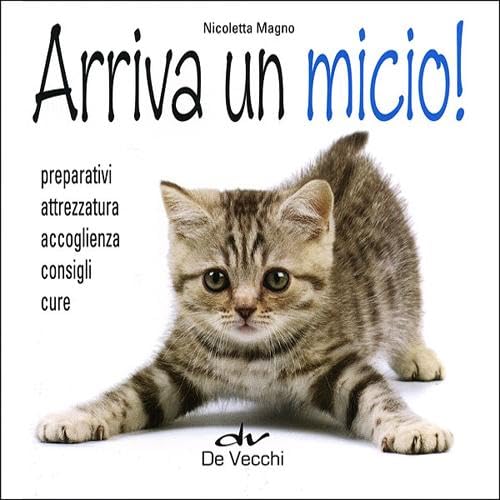 Arriva un micio! Preparativi, attrezzatura, accoglienza, cure book