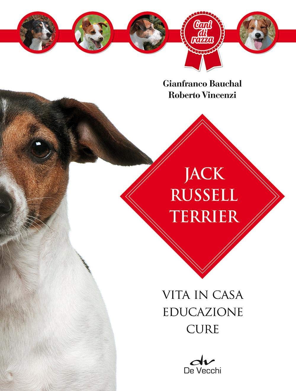 Jack Russel terrier. Vita in casa, educazione, cure Pets