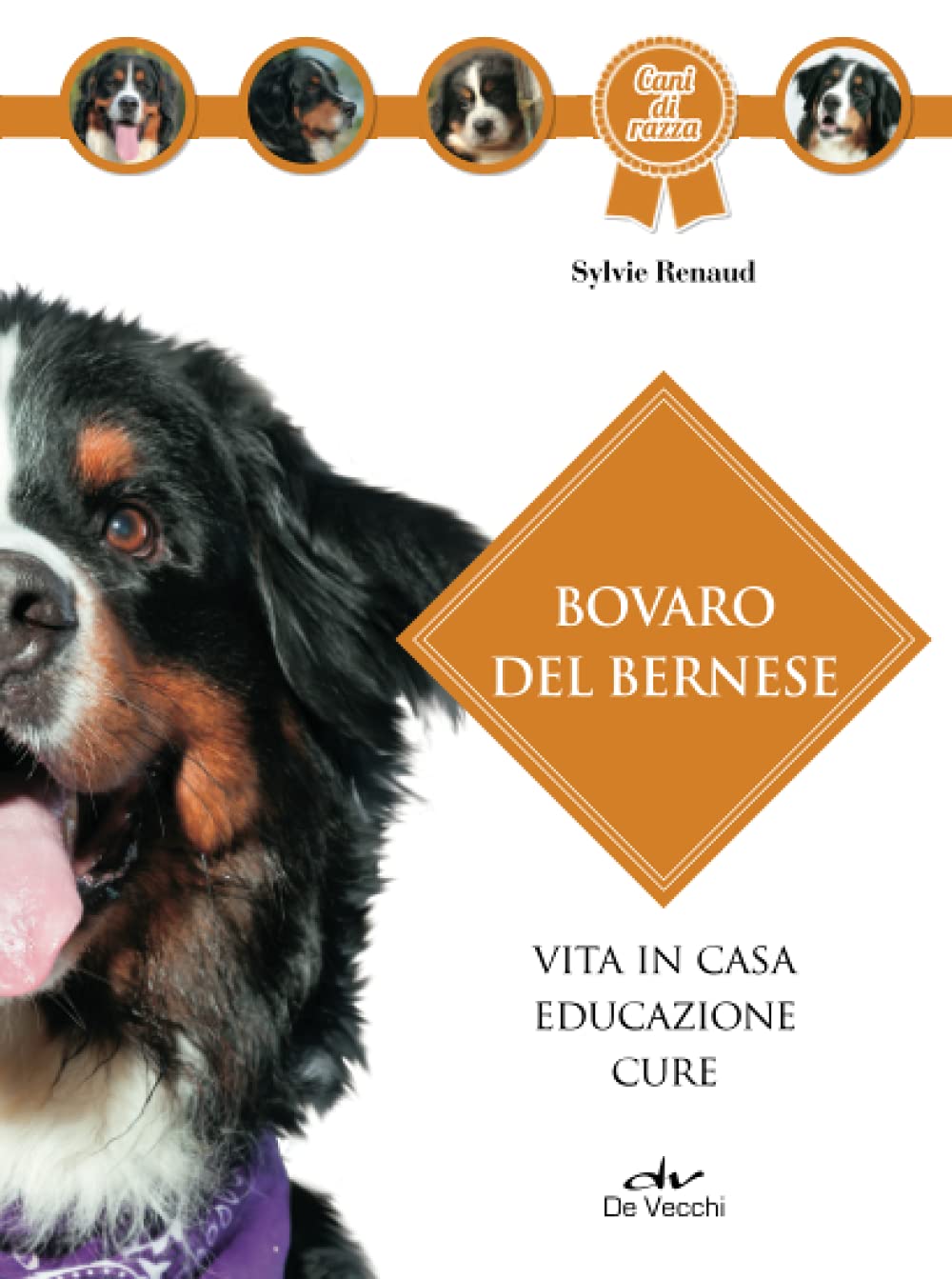 Bovaro del bernese: Vita in casa - Educazione - Cure (Cani di razza) Pets