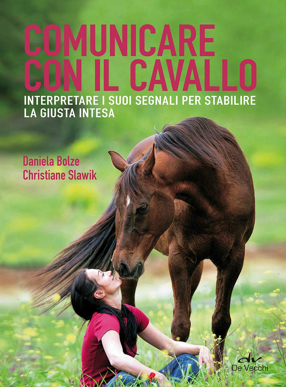 Comunicare con il cavallo. Interpretare i suoi segnali per stabilire la giusta intesa book