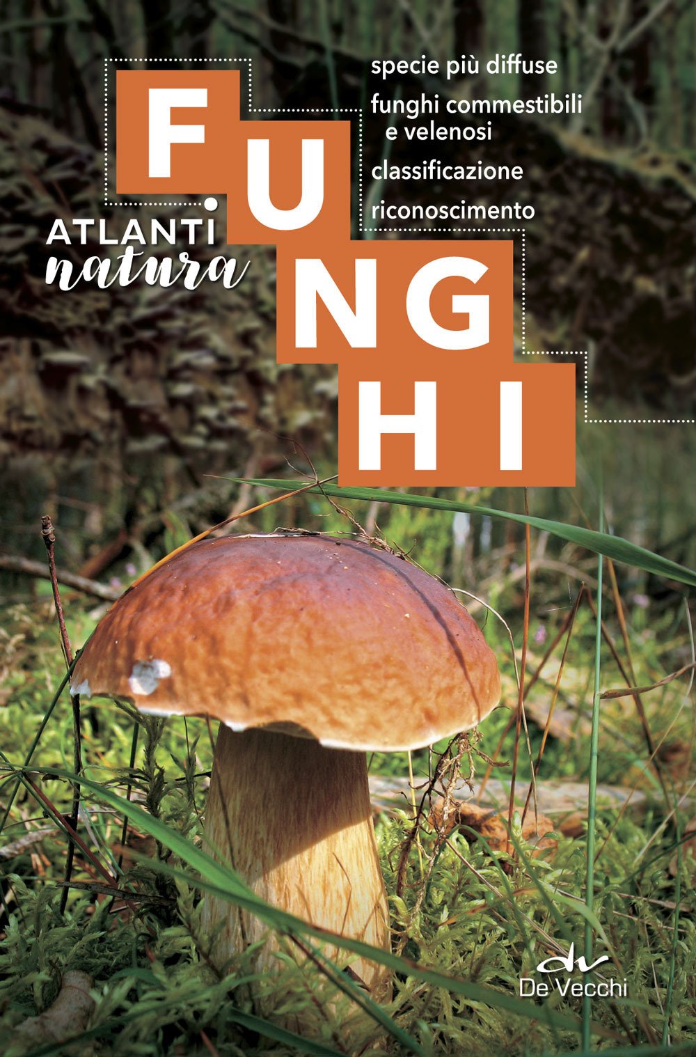 Funghi. Specie più diffuse, funghi commestibili e velenosi, classificazione, riconoscimento book