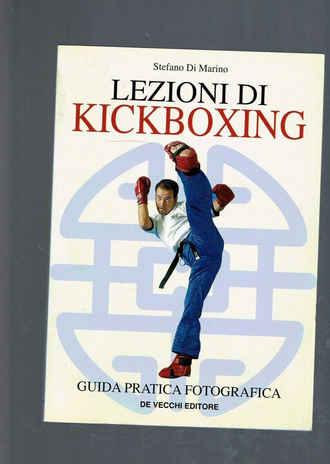 Lezioni di kickboxing book