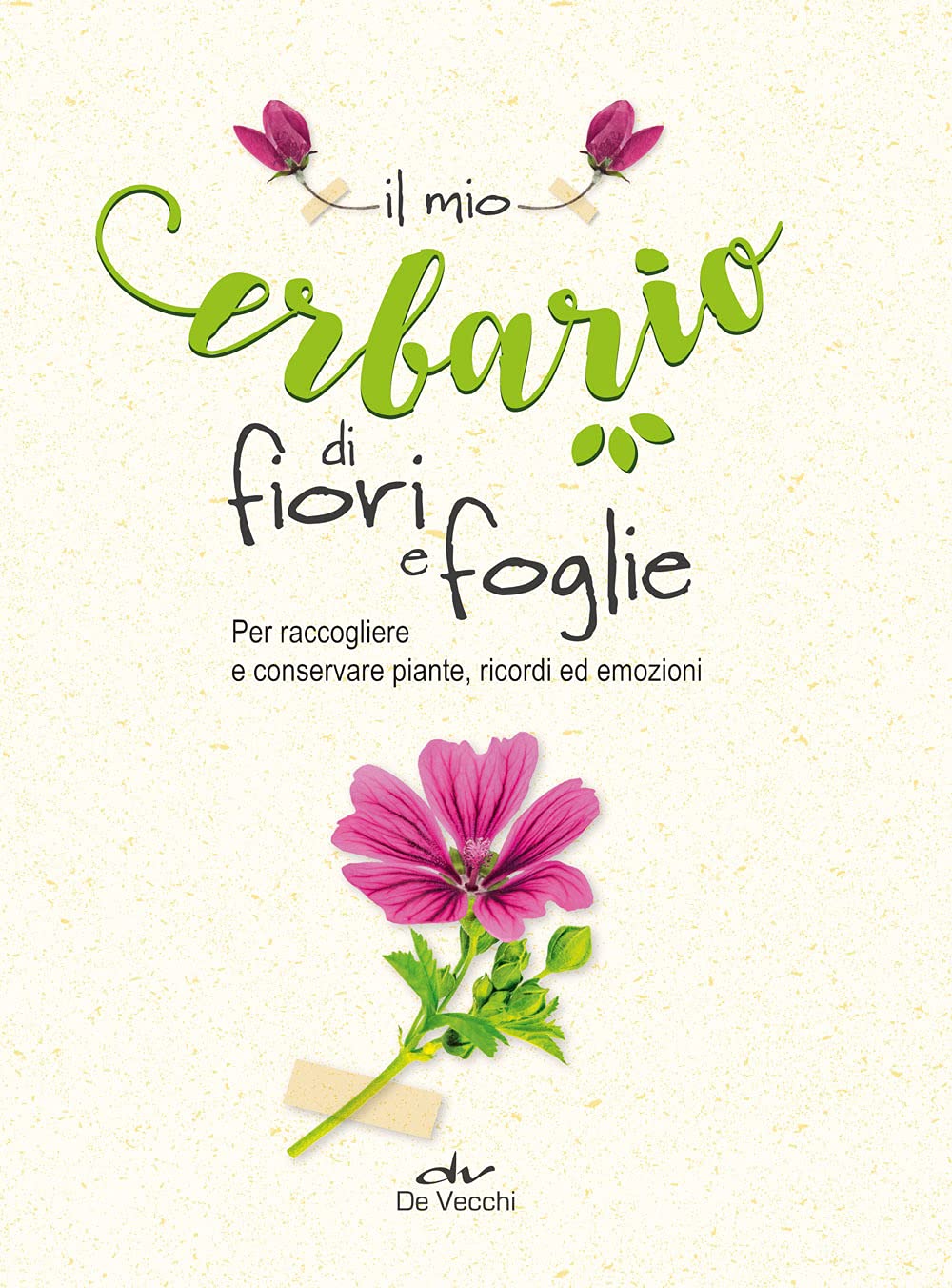 Il mio erbario di fiori e foglie. Per raccogliere e conservare piante, ricordi ed emozioni Religion & Esotericism