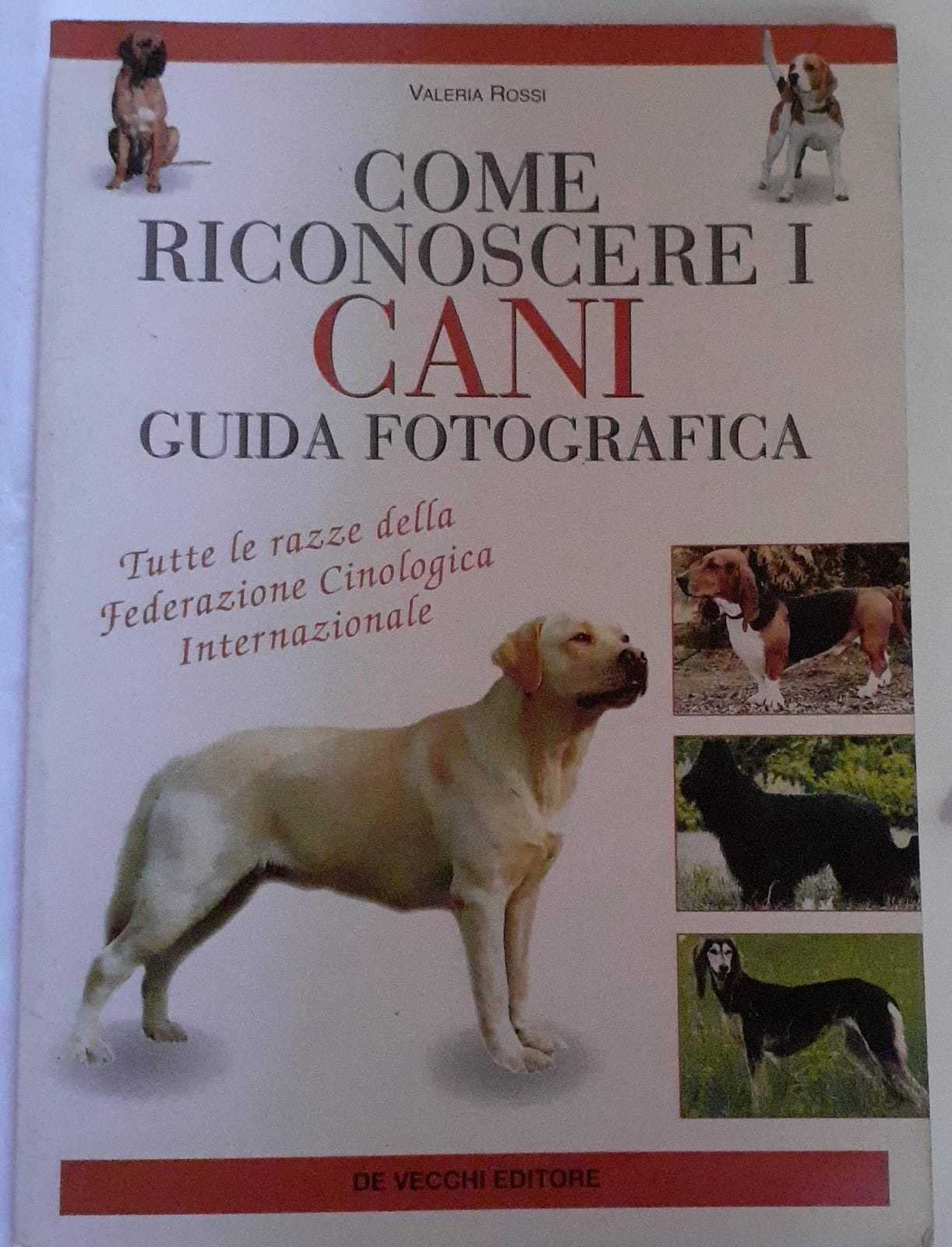 Come riconoscere i cani. Guida fotografica Pets