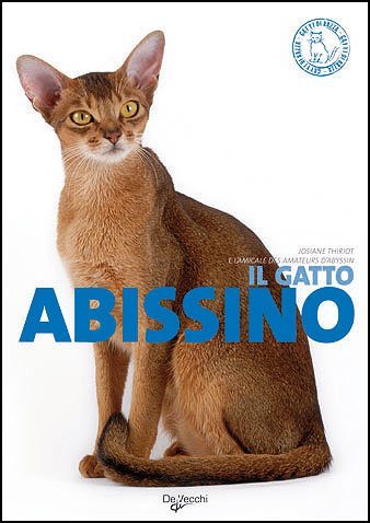 Il gatto abissino (Gatti di razza) Pets