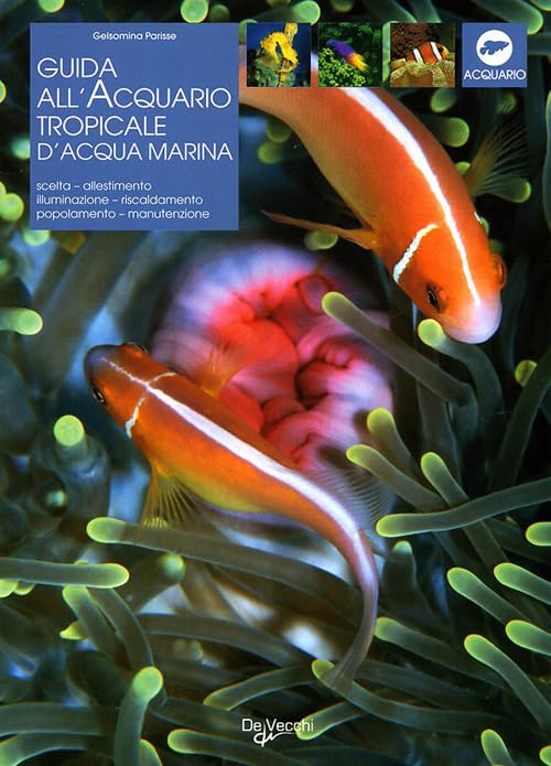 Acquario tropicale d'acqua marina book