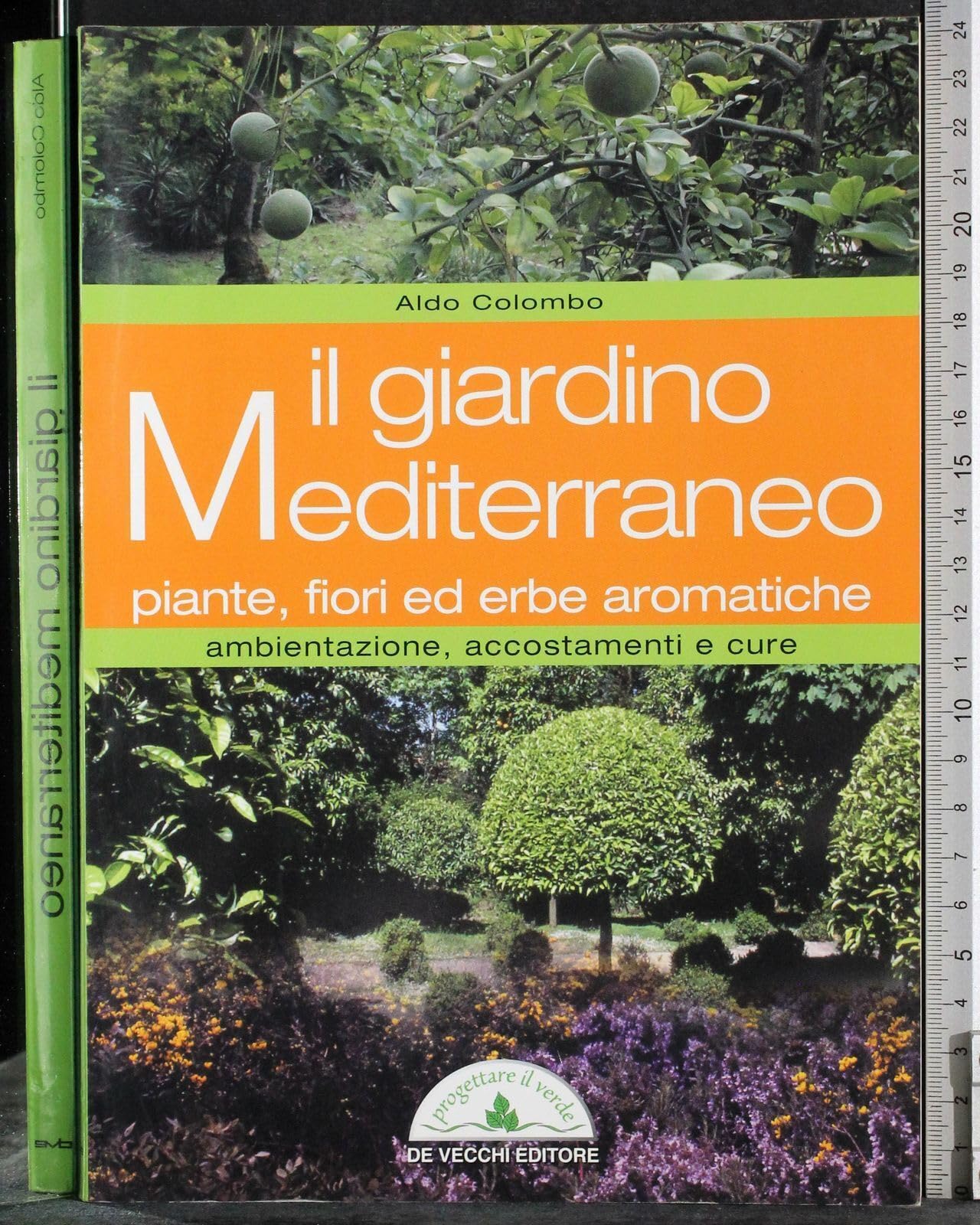 Il giardino mediterraneo. Piante, fiori ed erbe aromatiche. Ambientazione, accostamenti e cure book