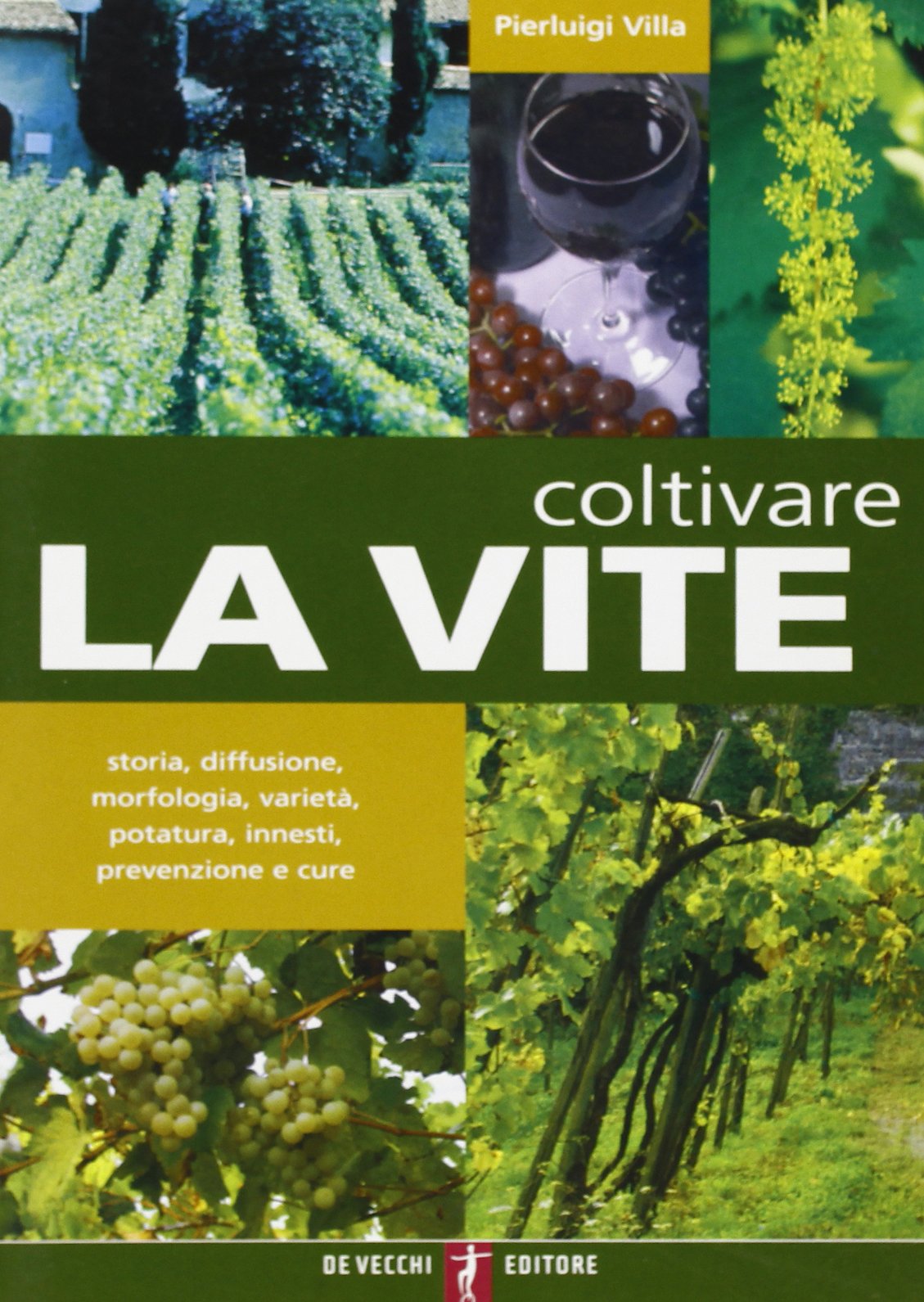 Coltivare la vite. Storia, diffusione, morfologia, varietà, potatura, innesti, prevenzione e cure (Guide del buon raccolto) Garden & Plants
