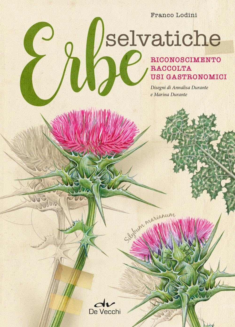 Erbe selvatiche. Riconoscimento. Raccolta. Usi gastronomici Leisure, Home & Garden