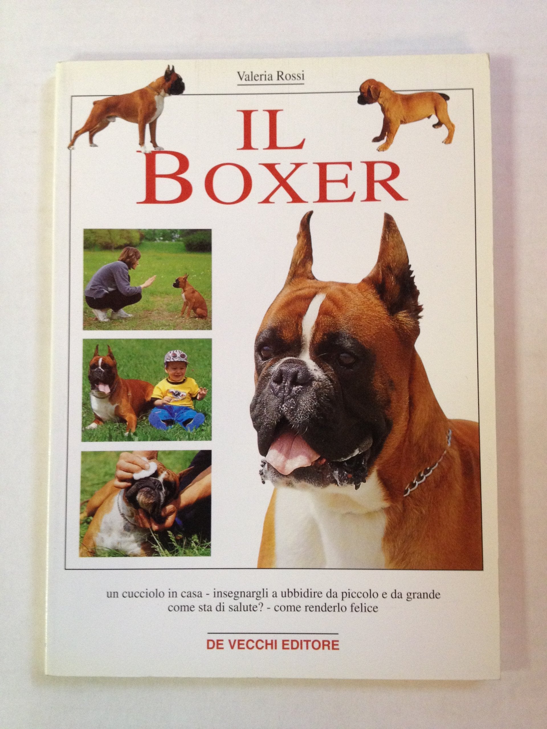 Il boxer Pets