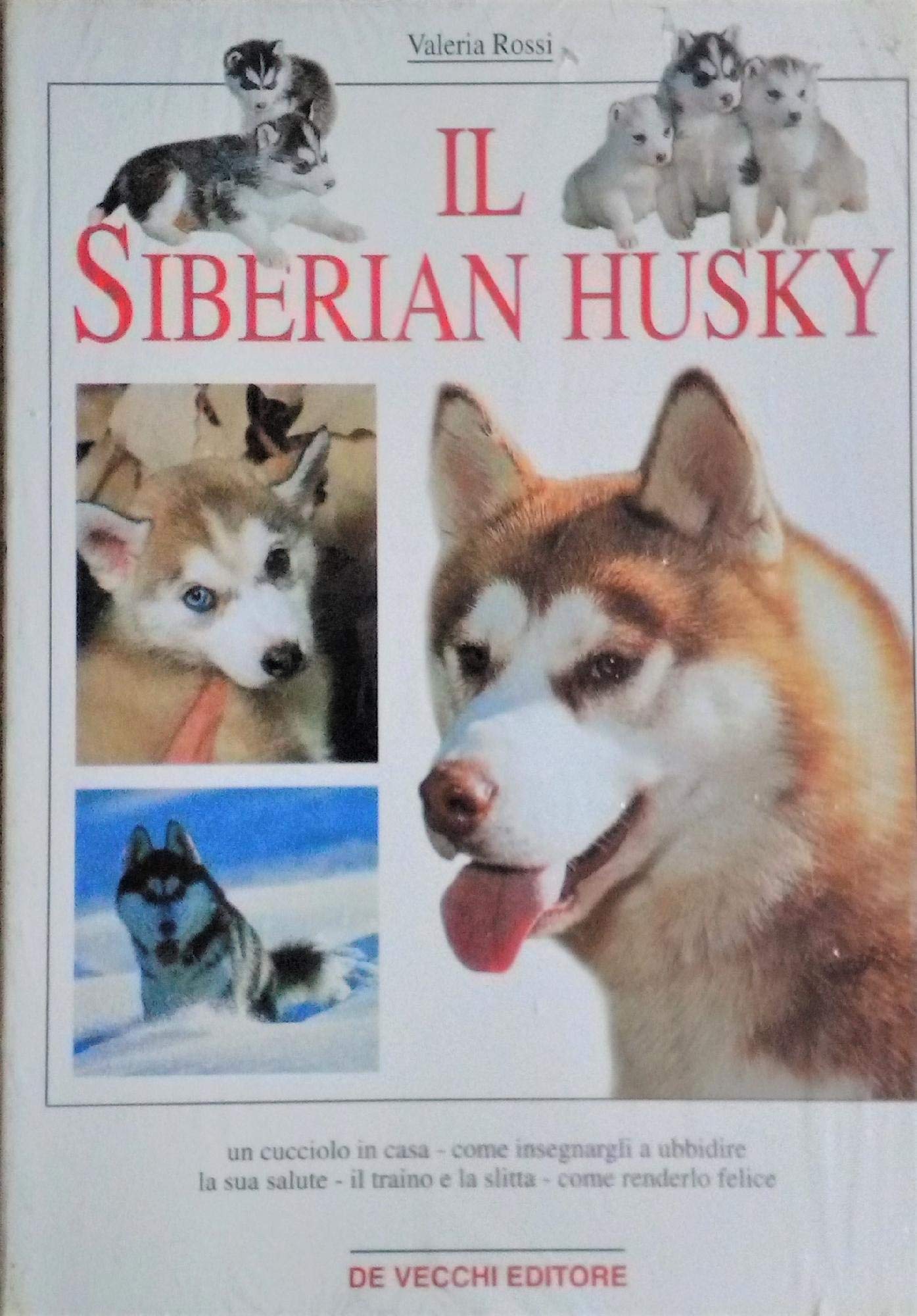 Il siberian husky (Cani) Pets