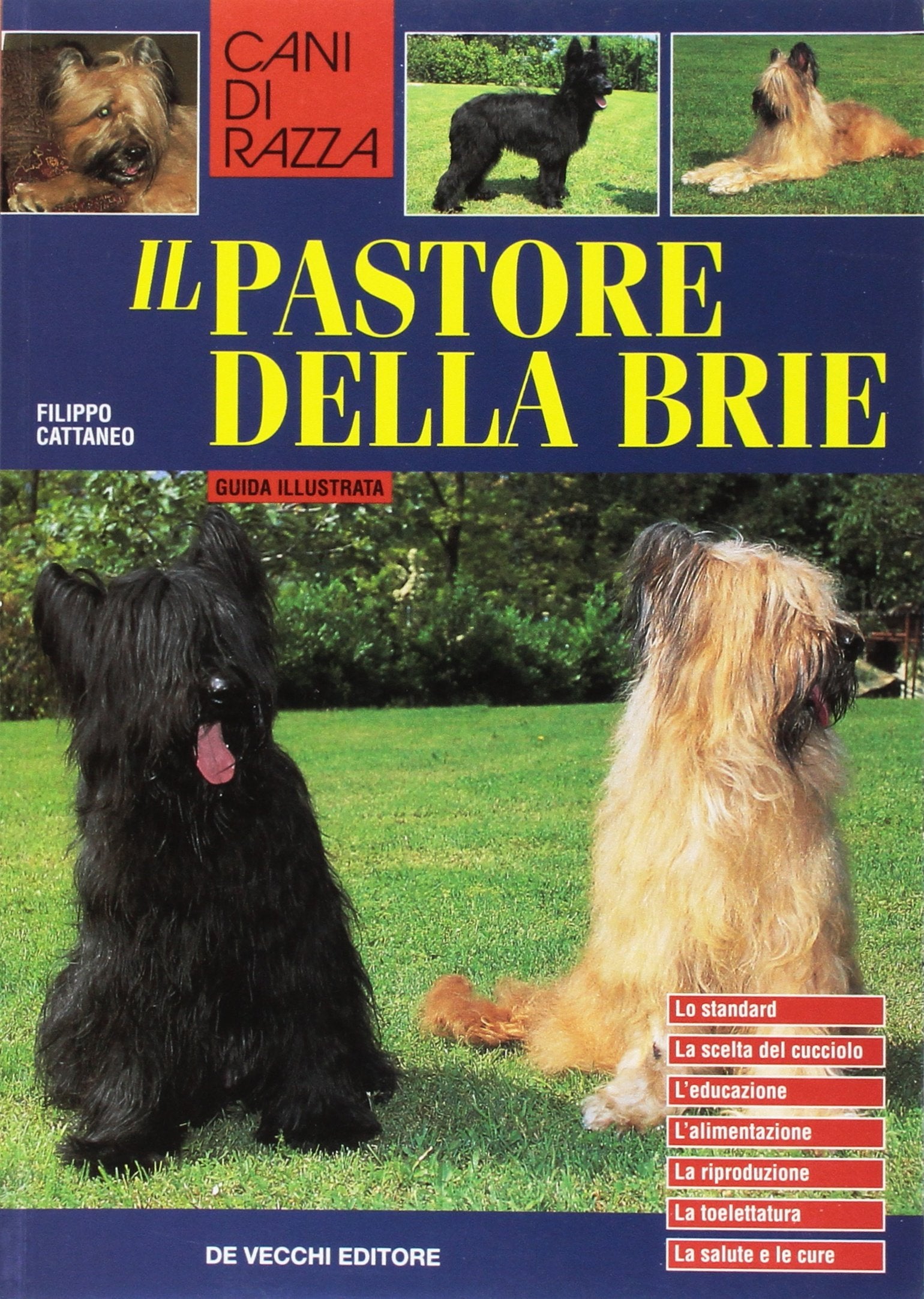 Il pastore della Brie (Cani di razza) Pets