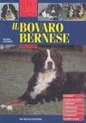 Il bovaro bernese (Cani di razza) Pets