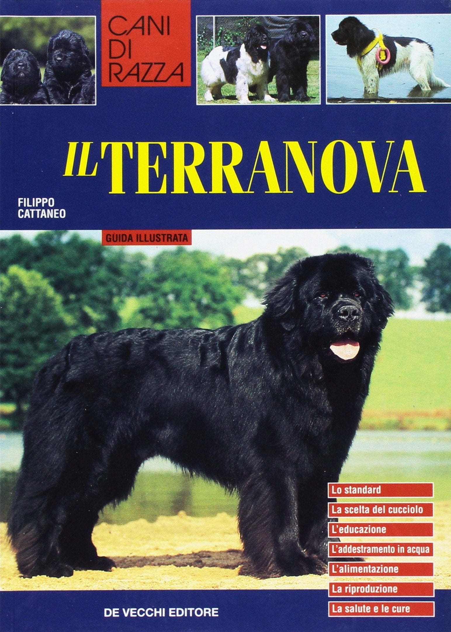 Il terranova (Cani di razza) Pets