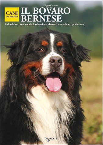 Il bovaro bernese (Cani da premio) Pets
