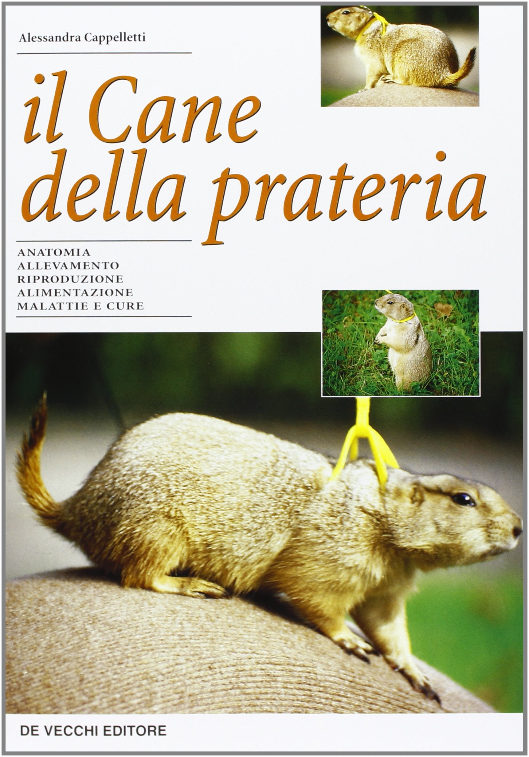Il cane della prateria (Animali) Leisure, Home & Garden