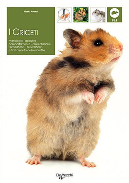 Product Image: Criceti (Pets e animali da compagnia)