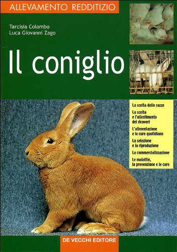 Product Image: Il coniglio
