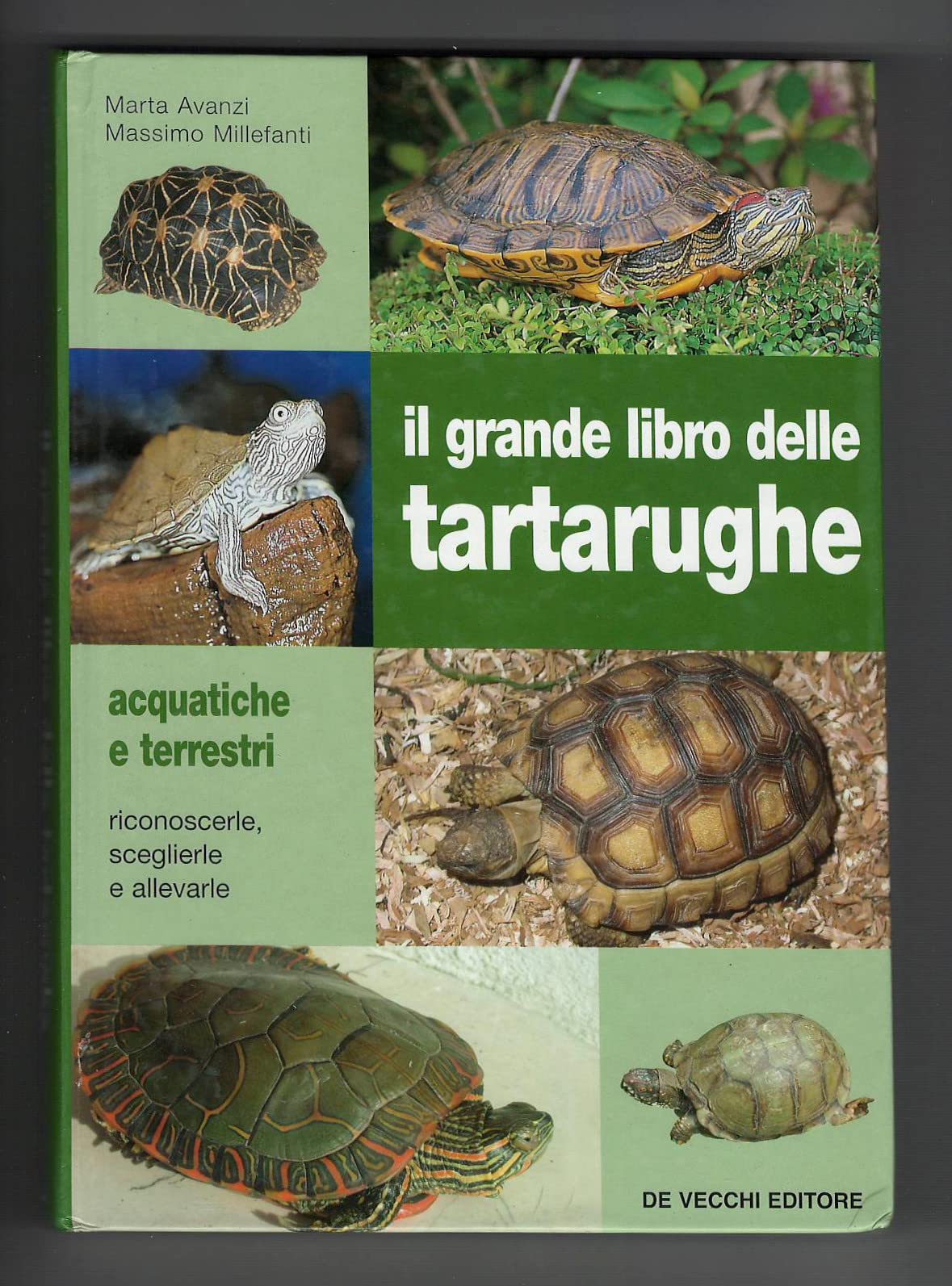Il grande libro delle tartarughe. Acquatiche e terrestri Pets
