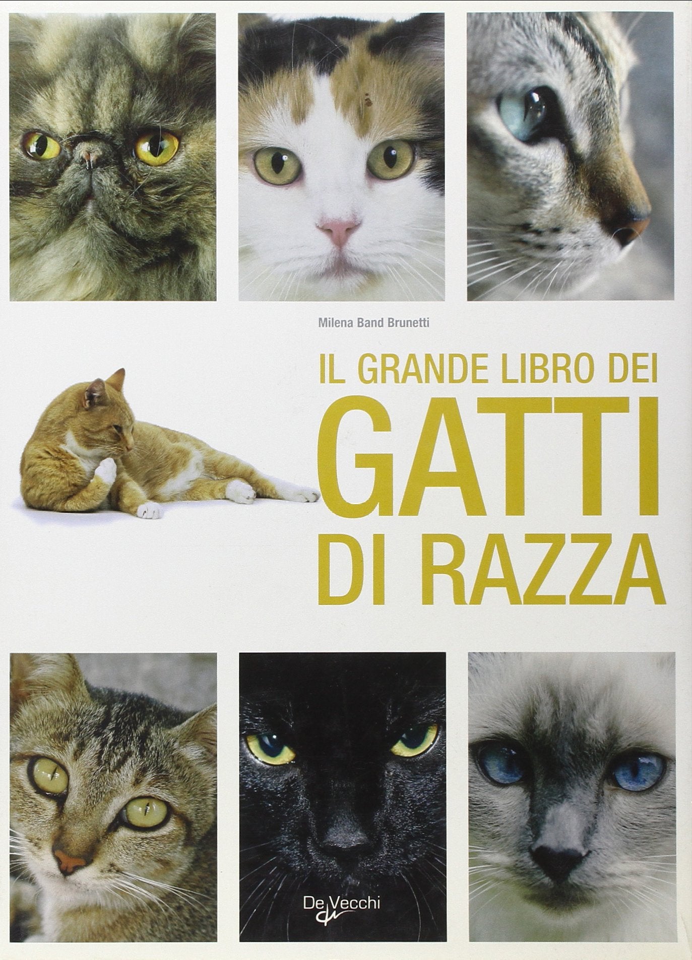 Il grande libro dei gatti Pets