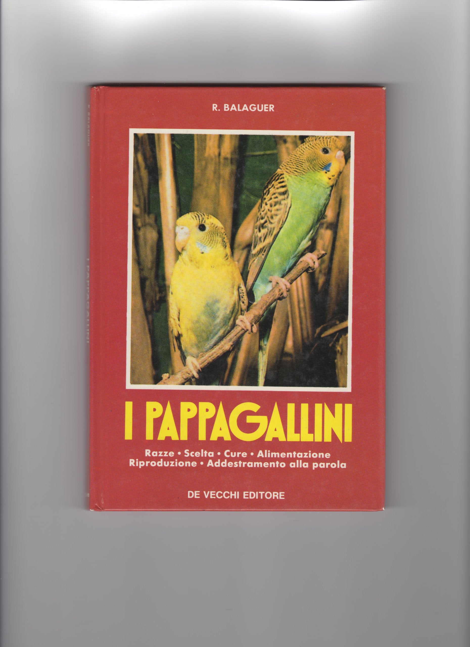 I pappagallini Pets