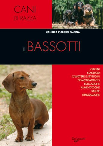Bassotti (Cani di razza) Pets
