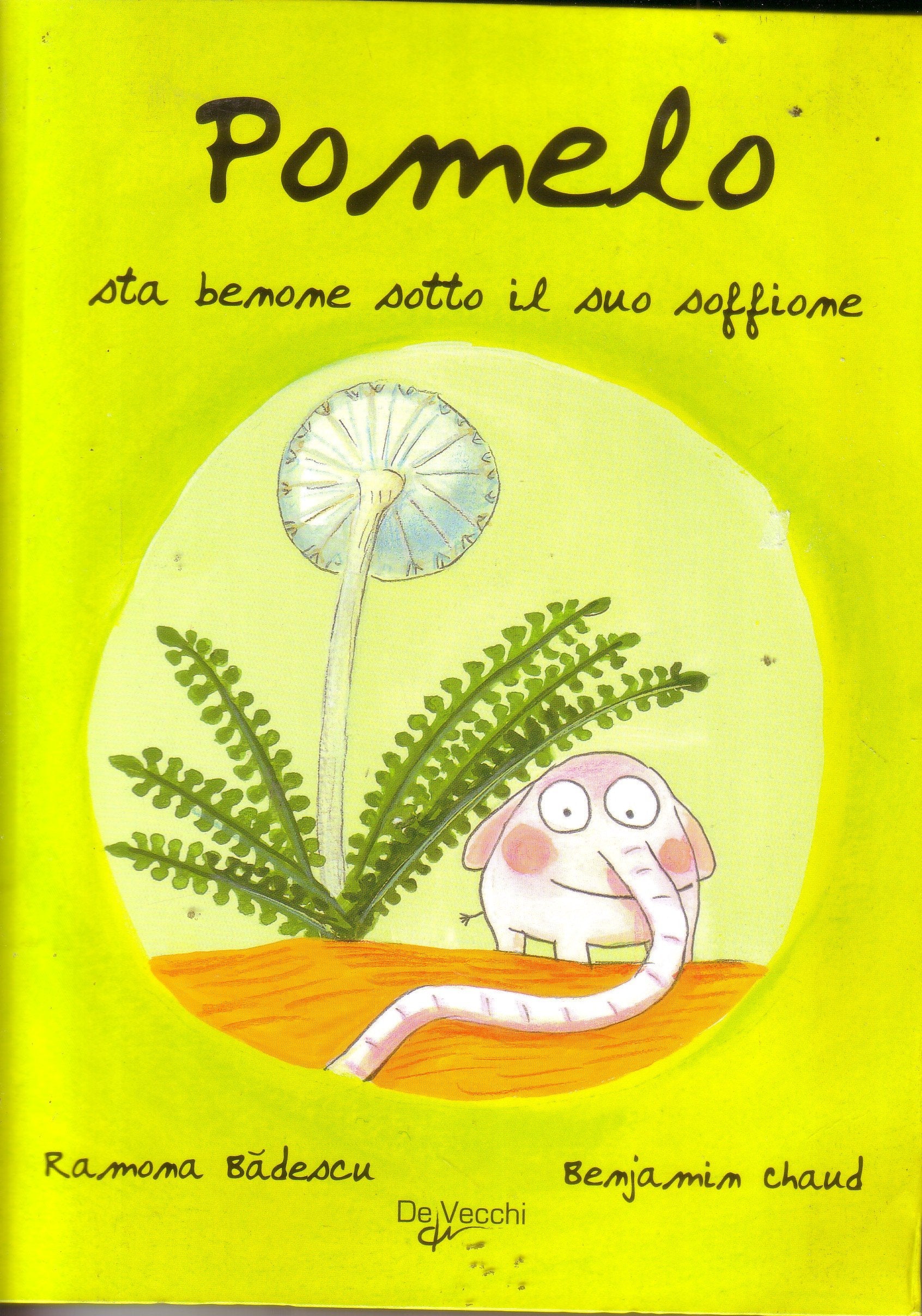 Pomelo sta bene sotto il suo soffione book