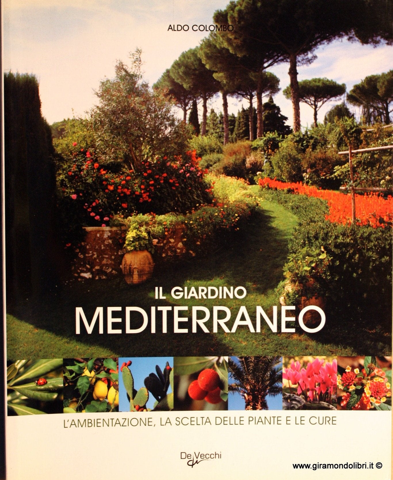 Il giardino mediterraneo (I grandi libri) Leisure, Home & Garden