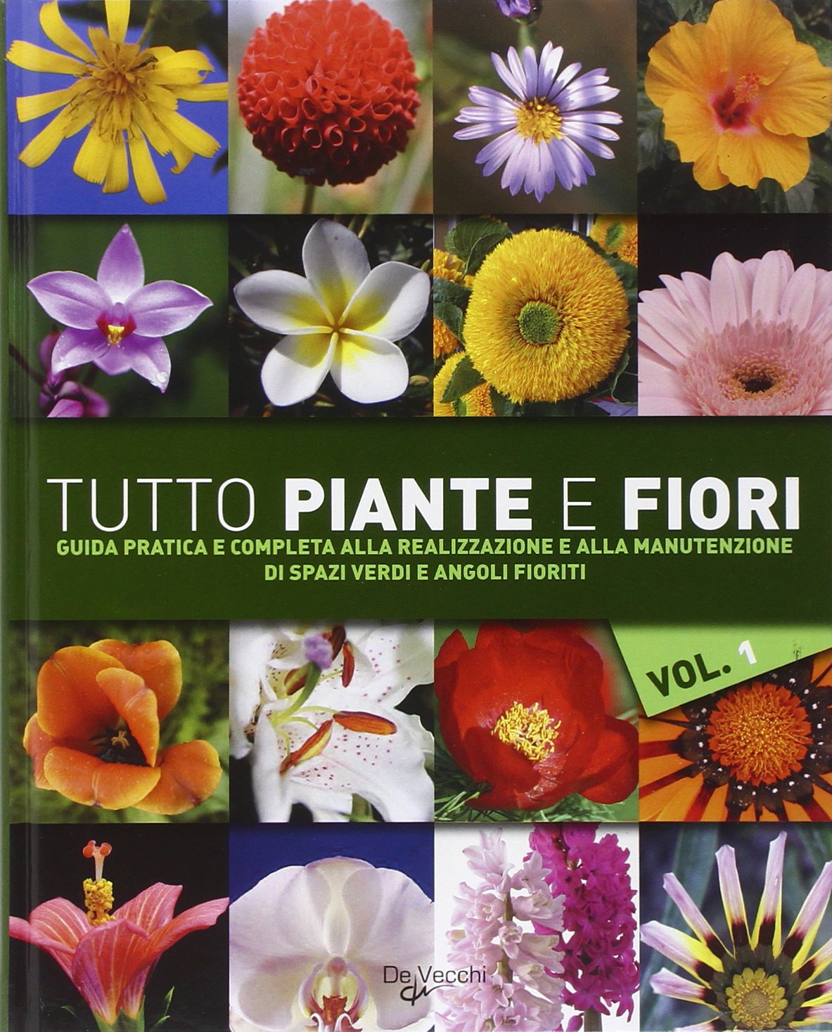Tutto piante e fiori (Vol. 1) (Il nuovo giardino) Garden & Plants