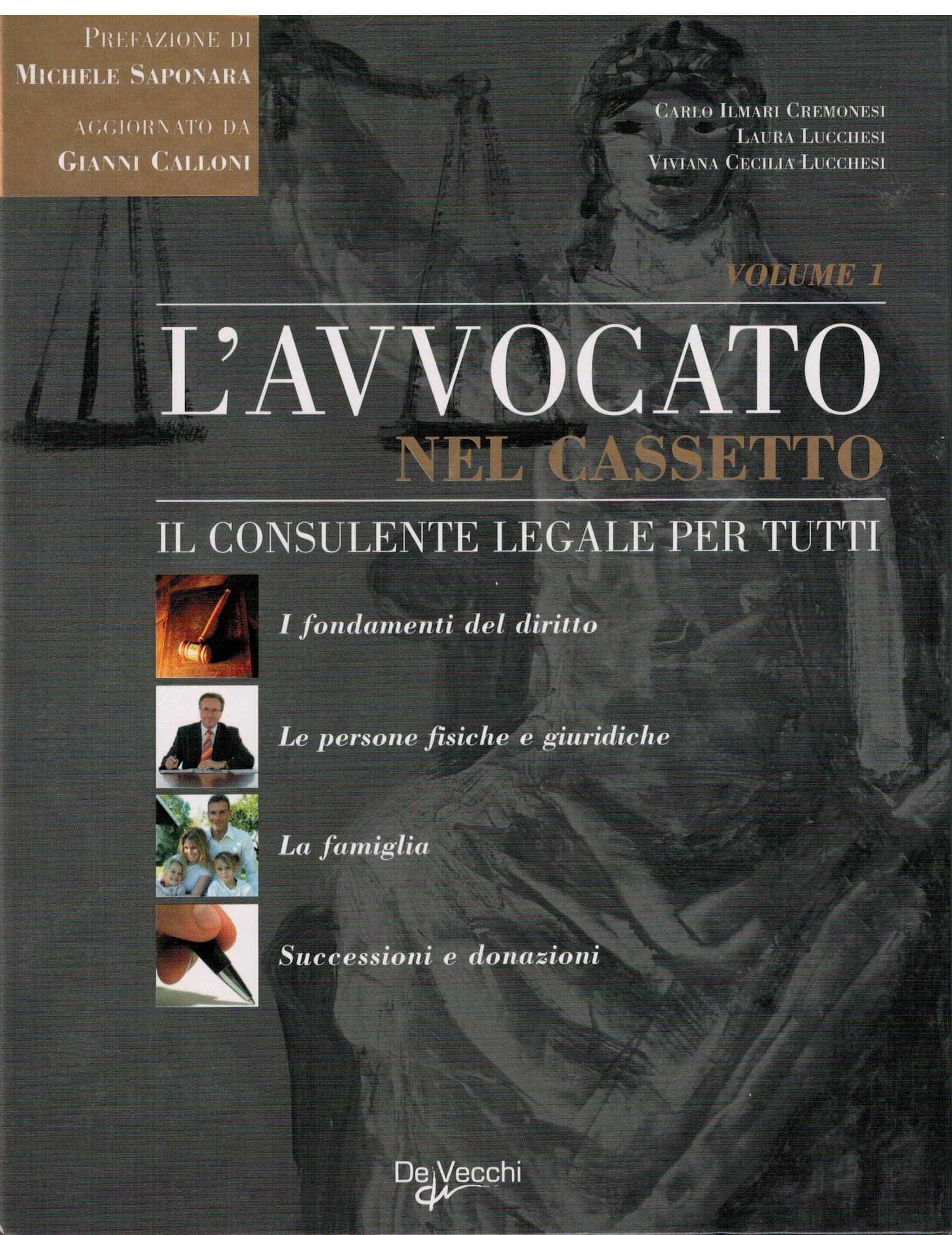 L'avvocato nel cassetto (Vol. 1) (Professioni e carriera) Books