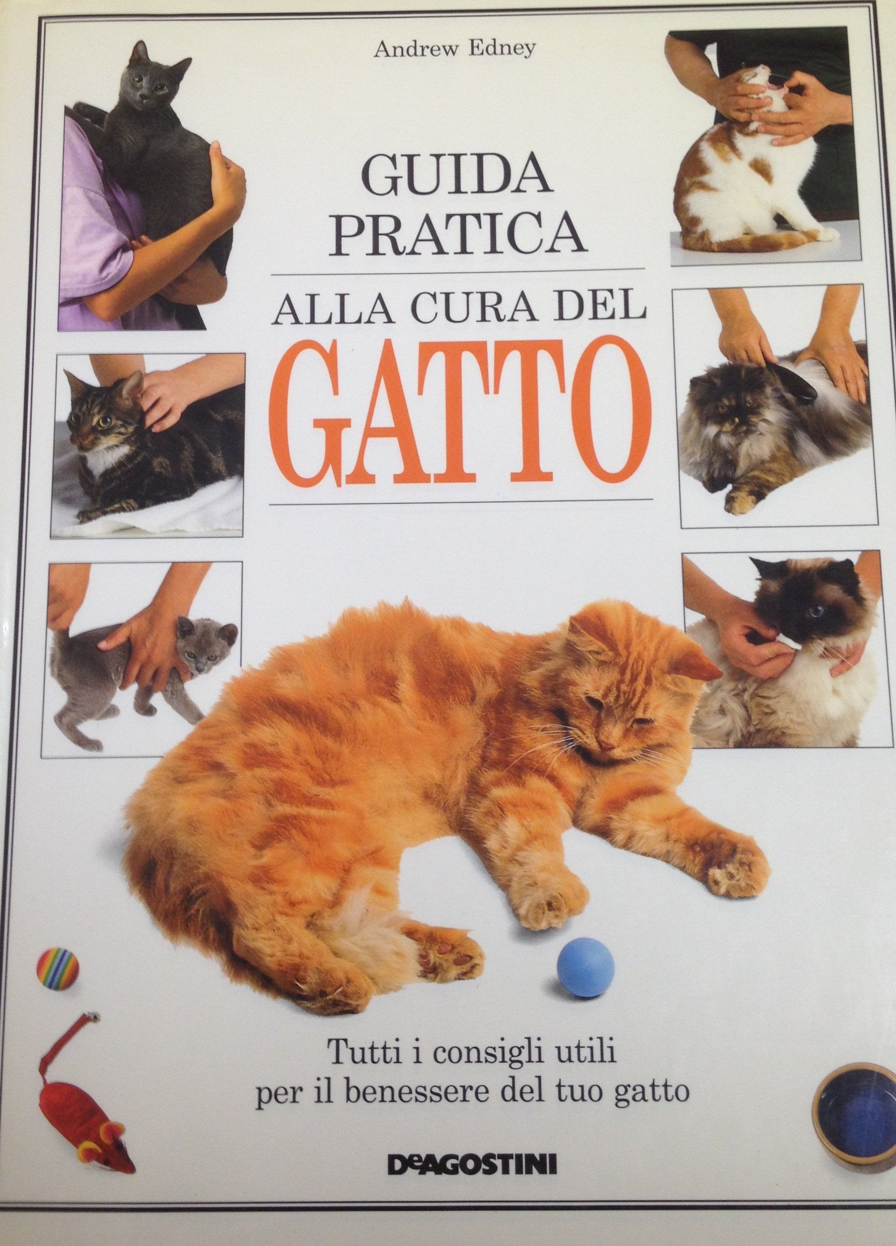 Guida pratica alla cura del gatto book