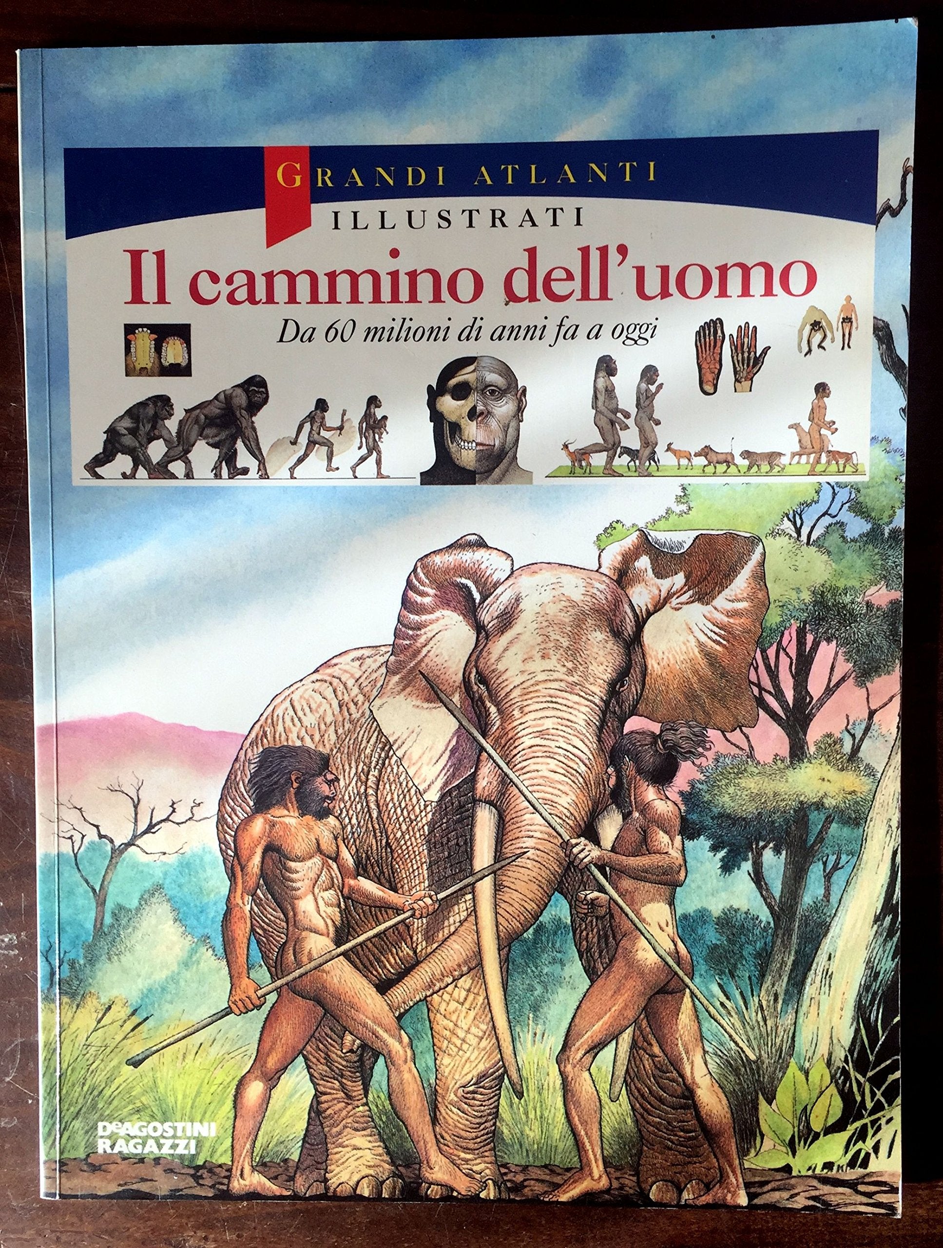 Il cammino dell'uomo. Da 60 milioni di anni fa a oggi book