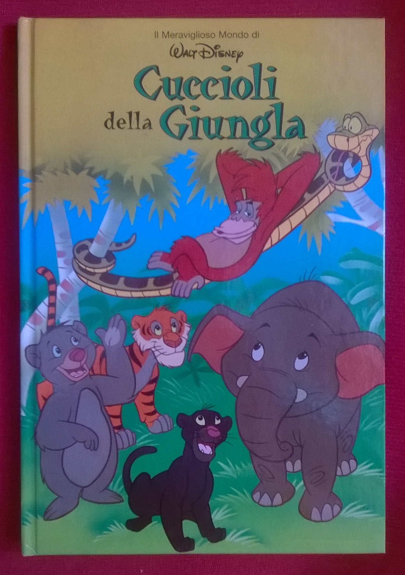 Cuccioli della giungla - Il meraviglioso mondo di Walt Disney -DeAgostini book